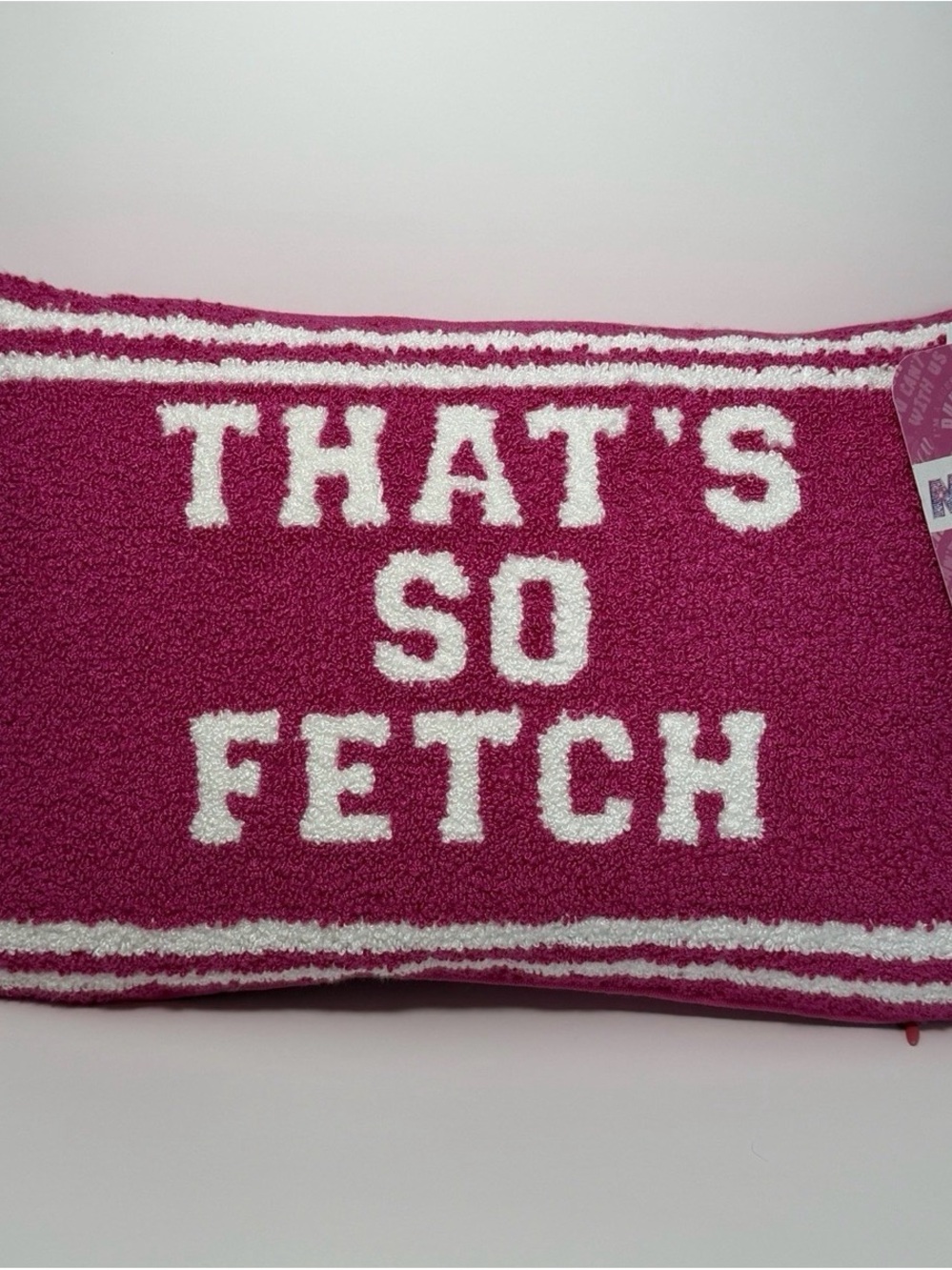 That’s So Fetch Pink Decorative Throw Pillow